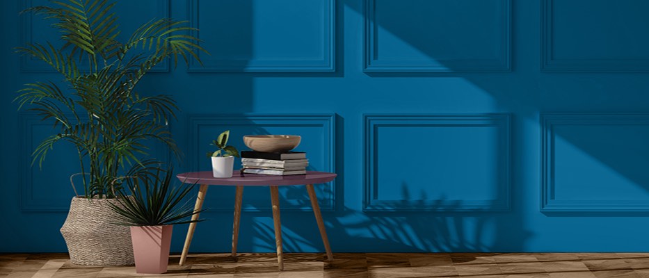 Dulux 2024 design colour trends V2 plants table books Blue Flame dark rich teal wall